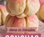 Conchas Pan Dulce Recipe