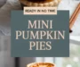 Mini Pumpkin Pies Recipe