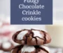 Fudgy Chocolate Crinkle Cookies Recipe